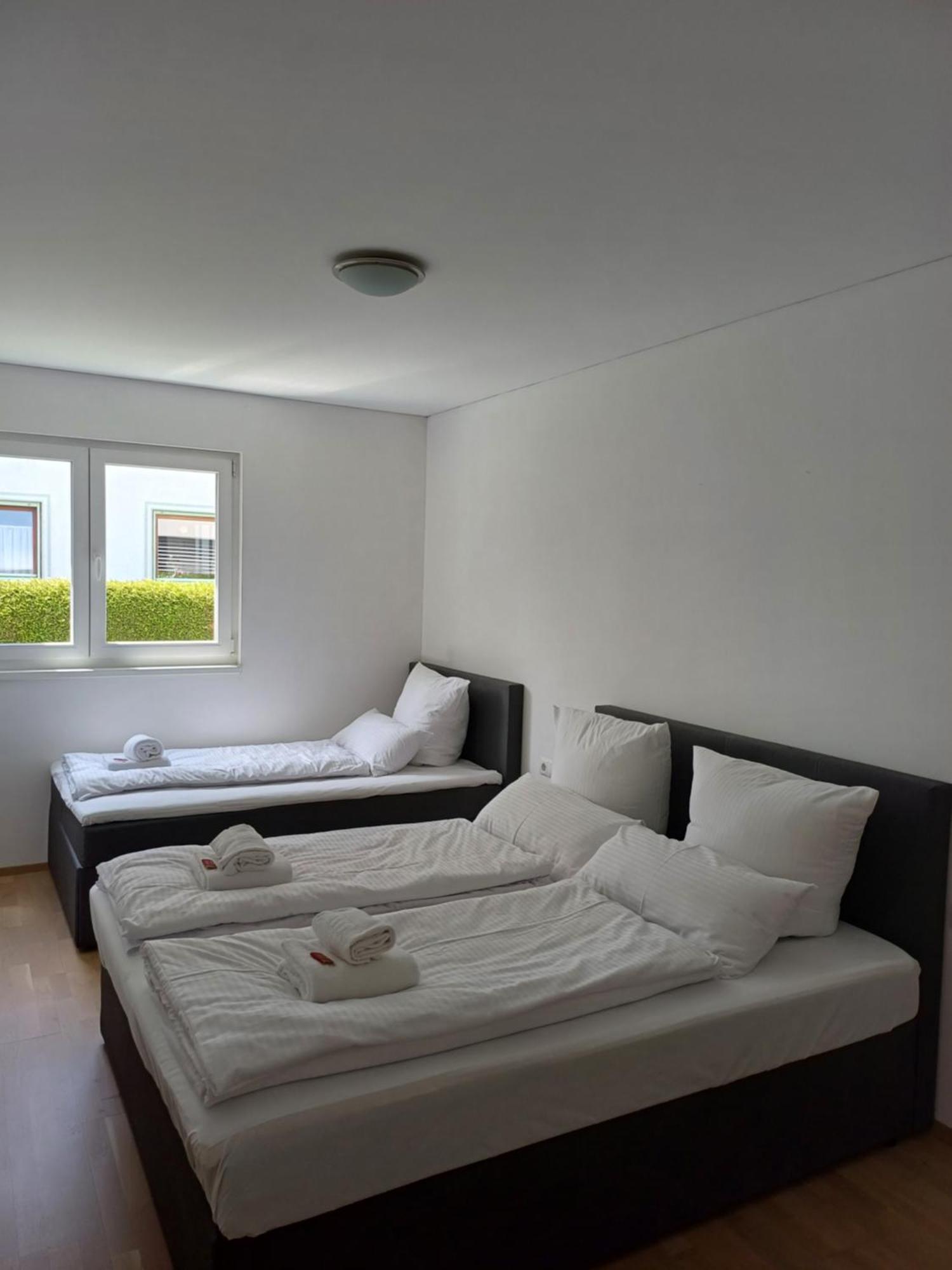 Crown Living Design Apartment - Gratis Parkplatz - Wlan - Kueche - Self Check-In Altach Exteriör bild